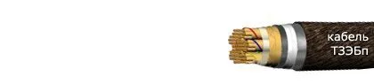 Кабель ТЗЭБп 19х4х0,9