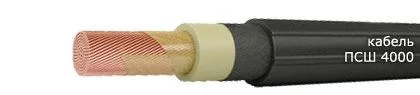 Кабель ПСШ 4000 6