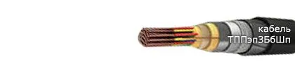 Кабель ТППэпЗБбШп 600х2х0,64-200